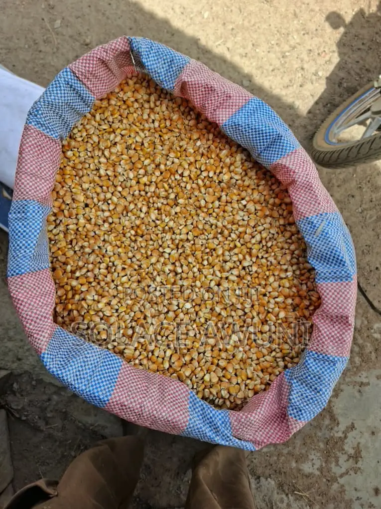 112 Kg Yellow Maize