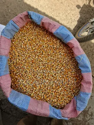 112 Kg Yellow Maize
