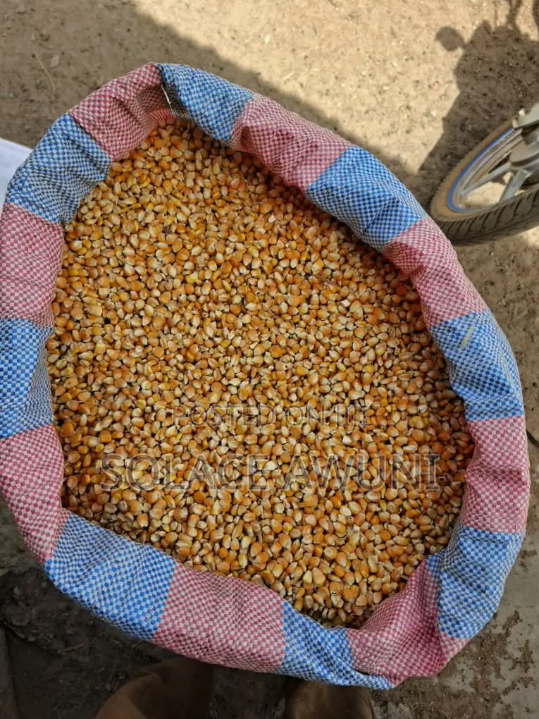 112 Kg Yellow Maize