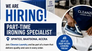 Part-Time Ironing Specialist