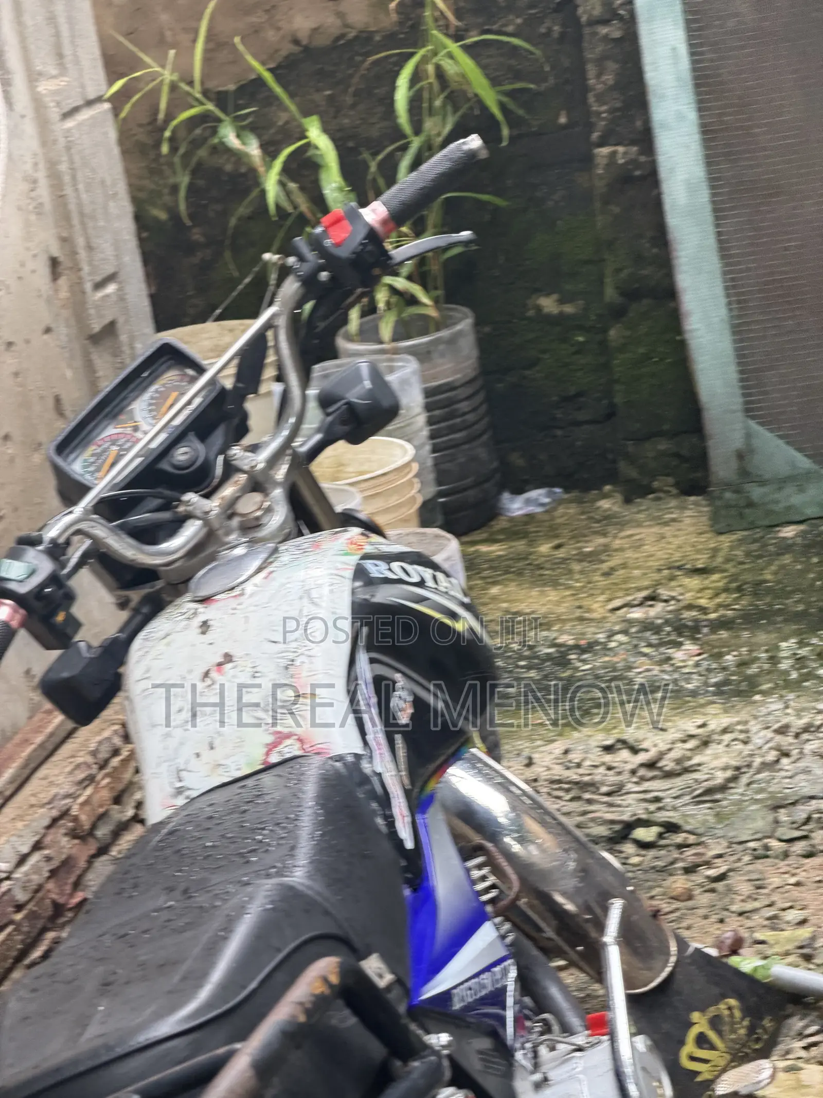 Royal Motorcycle 2022 Blue