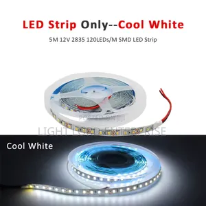 SMD 24v Stiker Rope Light 10m