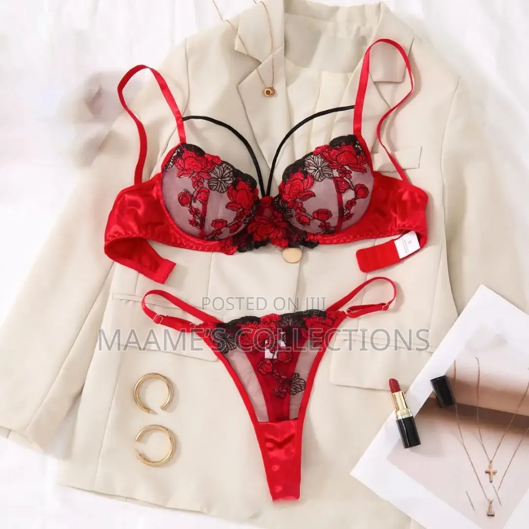 Floral Embroidered Women's Lingerie Bra and Panty Set