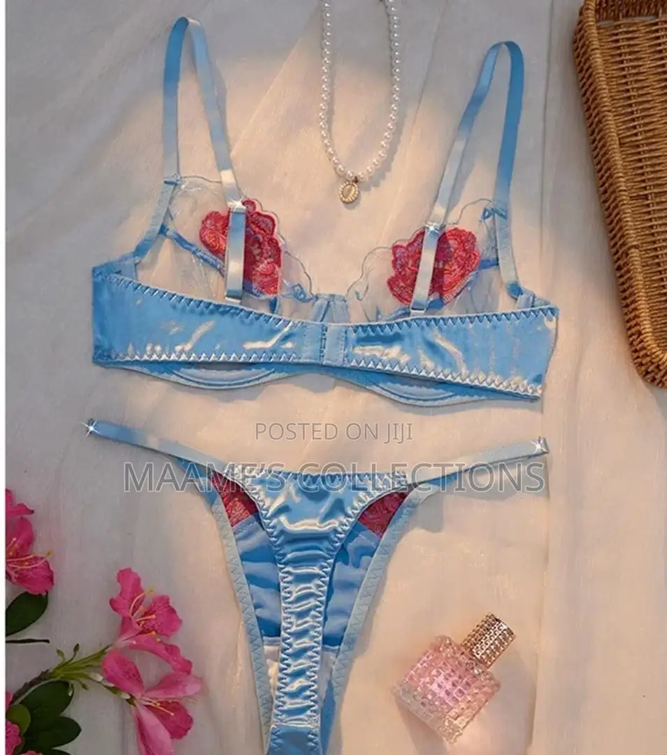 Floral Embroidered Women's Lingerie Bra and Panty Set
