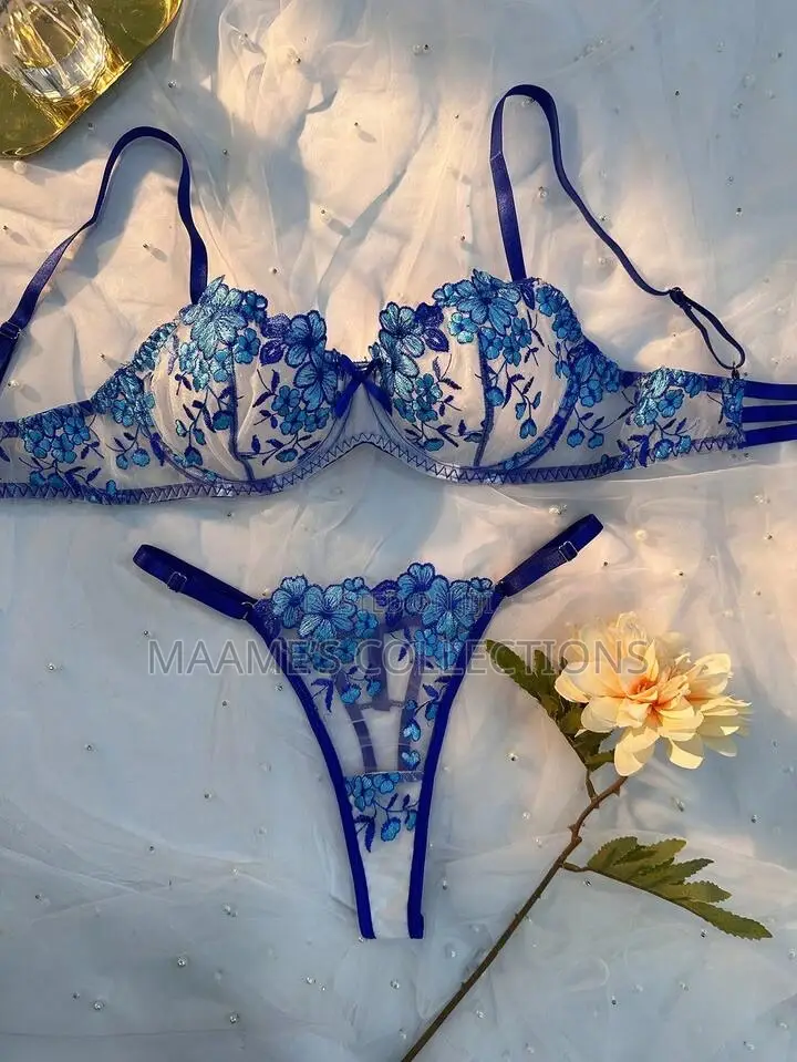 Floral Embroidered Women's Lingerie Bra and Panty Set