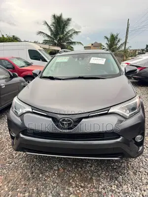 Toyota RAV4 2017 Gray
