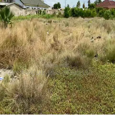 Roadside Land For Sale In Ada Foah – Azizanya Road
