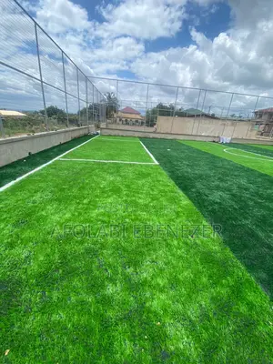 Landscape Artificial Grass