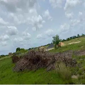 Registered Land Available At Ada Atortorkope, Big Ada