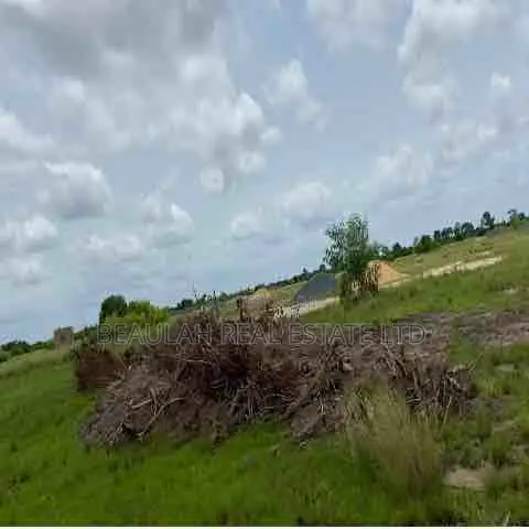 Registered Land Available At Ada Atortorkope, Big Ada