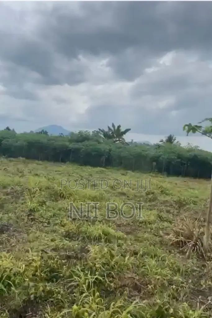 35 Acres Flood-Free Land in Adeiso Near Accra-Kumasi Expressway