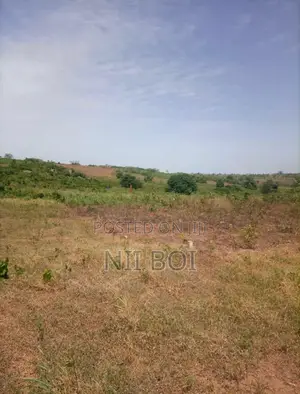 35 Acres Flood-Free Land in Adeiso Near Accra-Kumasi Expressway