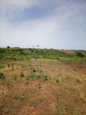 35 Acres Flood-Free Land in Adeiso Near Accra-Kumasi Expressway