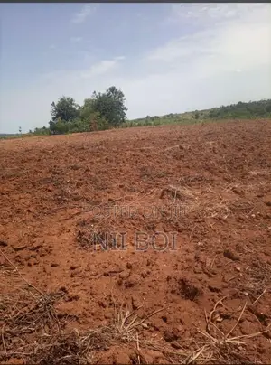 35 Acres Flood-Free Land in Adeiso Near Accra-Kumasi Expressway