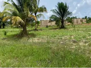 Land For Sale – Ada Tamatoku (Near Ada–Kasseh)