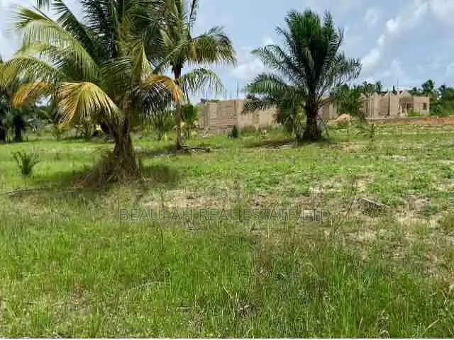 Land For Sale – Ada Tamatoku (Near Ada–Kasseh)