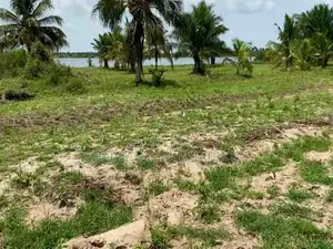 Land For Sale – Ada Tamatoku (Near Ada–Kasseh)