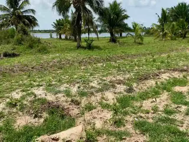 Land For Sale – Ada Tamatoku (Near Ada–Kasseh)