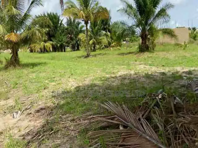 Land For Sale – Ada Tamatoku (Near Ada–Kasseh)