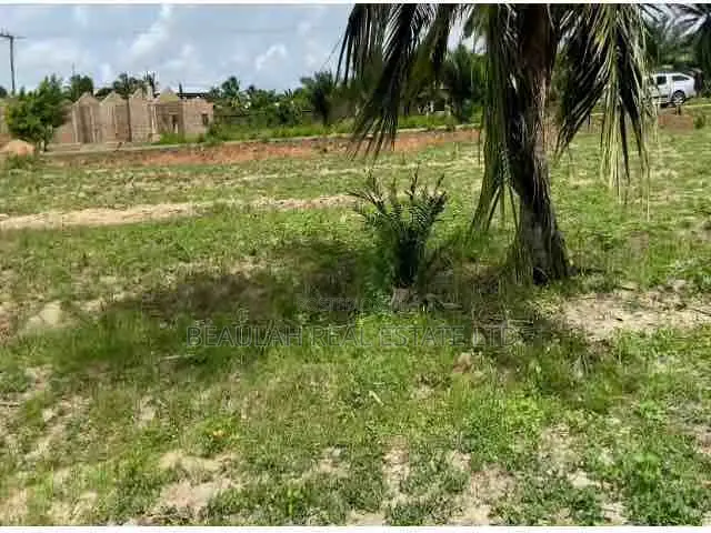 Land For Sale – Ada Tamatoku (Near Ada–Kasseh)