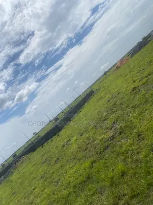 Buy Land Today! At Prampram Airport City. (Genuine Plots Available)