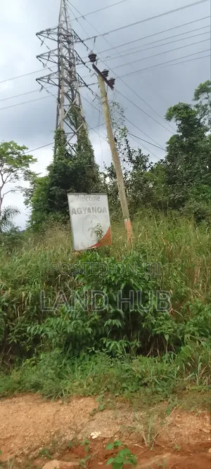 Your Acres, Your Future: Prime Aburi -Agyanoa Farmlands Now Available