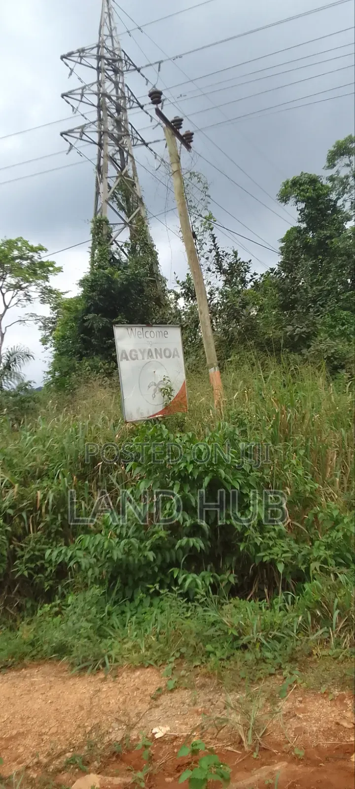Your Acres, Your Future: Prime Aburi -Agyanoa Farmlands Now Available
