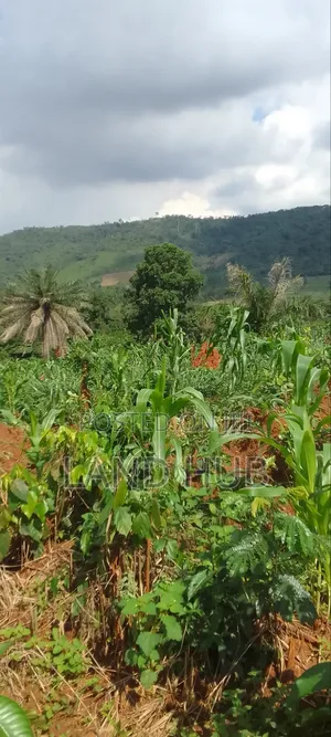 Your Acres, Your Future: Prime Aburi -Agyanoa Farmlands Now Available