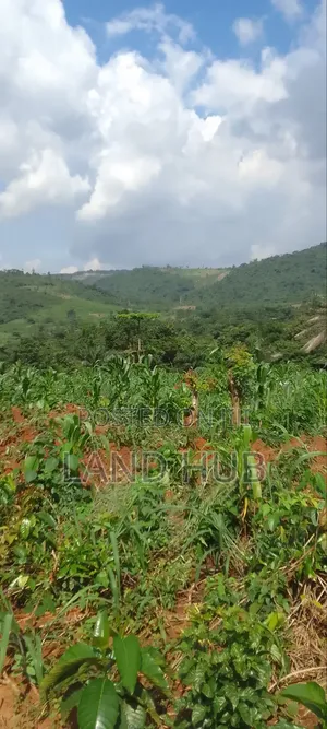 Your Acres, Your Future: Prime Aburi -Agyanoa Farmlands Now Available