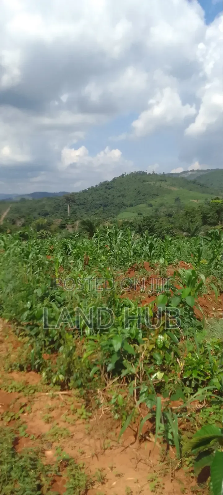 Your Acres, Your Future: Prime Aburi -Agyanoa Farmlands Now Available