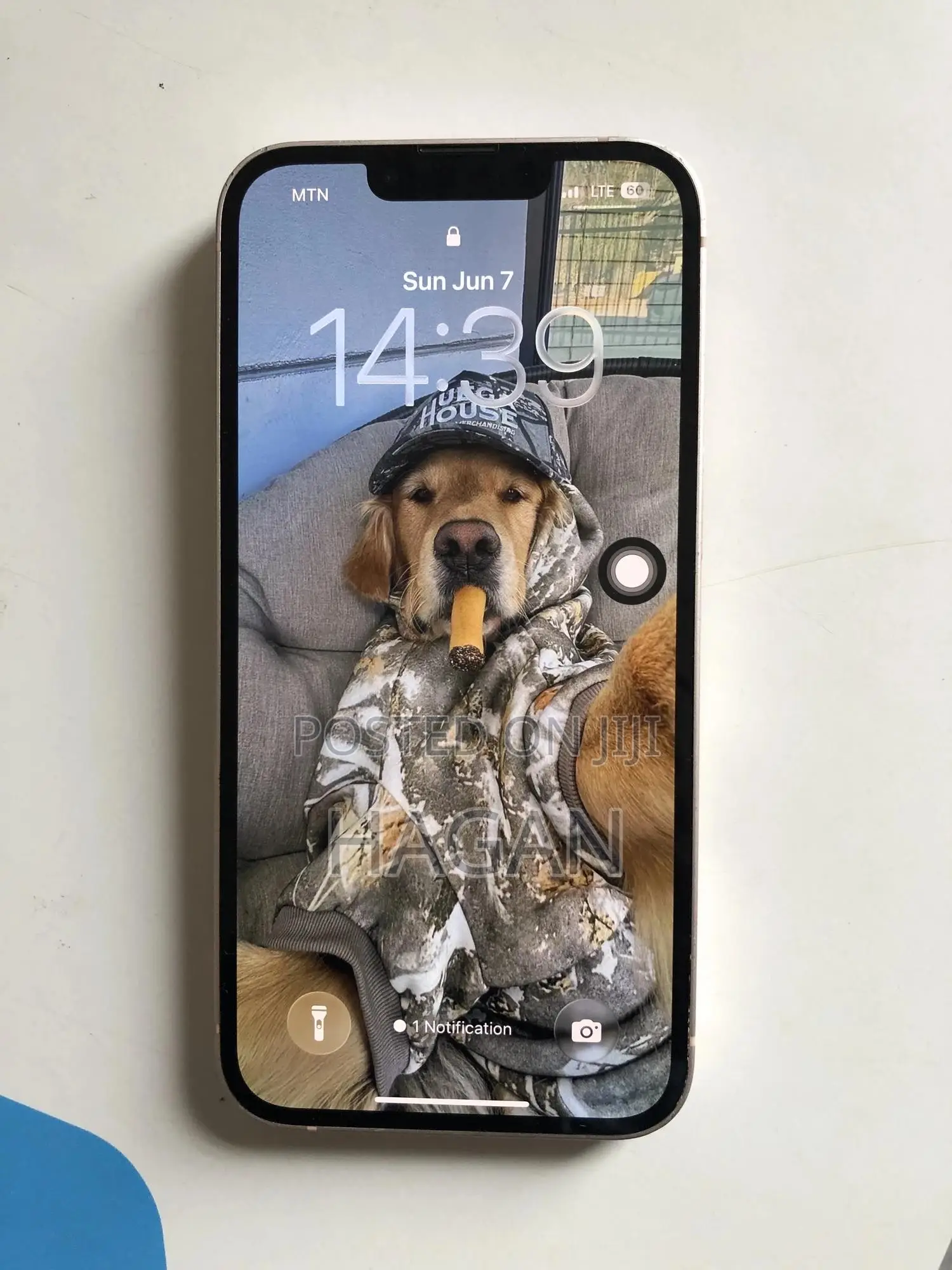 Apple iPhone 13 256 GB