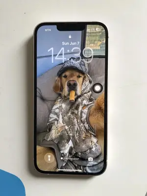 Apple iPhone 13 256 GB