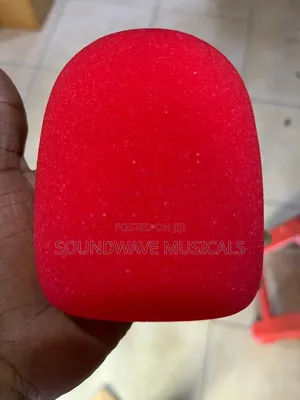 Studio Mic Foam