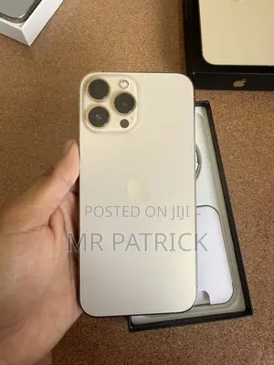 Apple iPhone 13 Pro Max 256 GB Gold