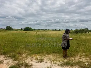 Think Investment, Think Land