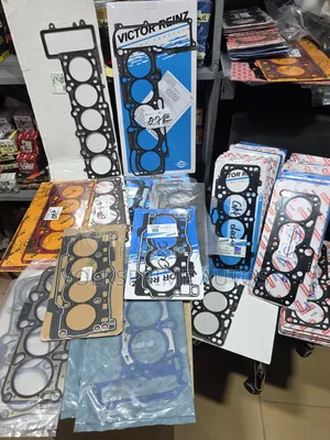 Headlight Gaskets for Different Models of Volkswagen and Audi Engines