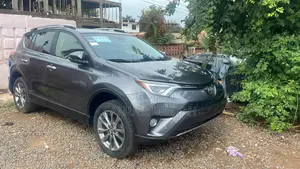 Toyota RAV4 Limited 4dr SUV AWD (2.5L 4cyl 6A) 2018 Gray
