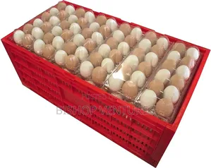 Eggs Transport Crates