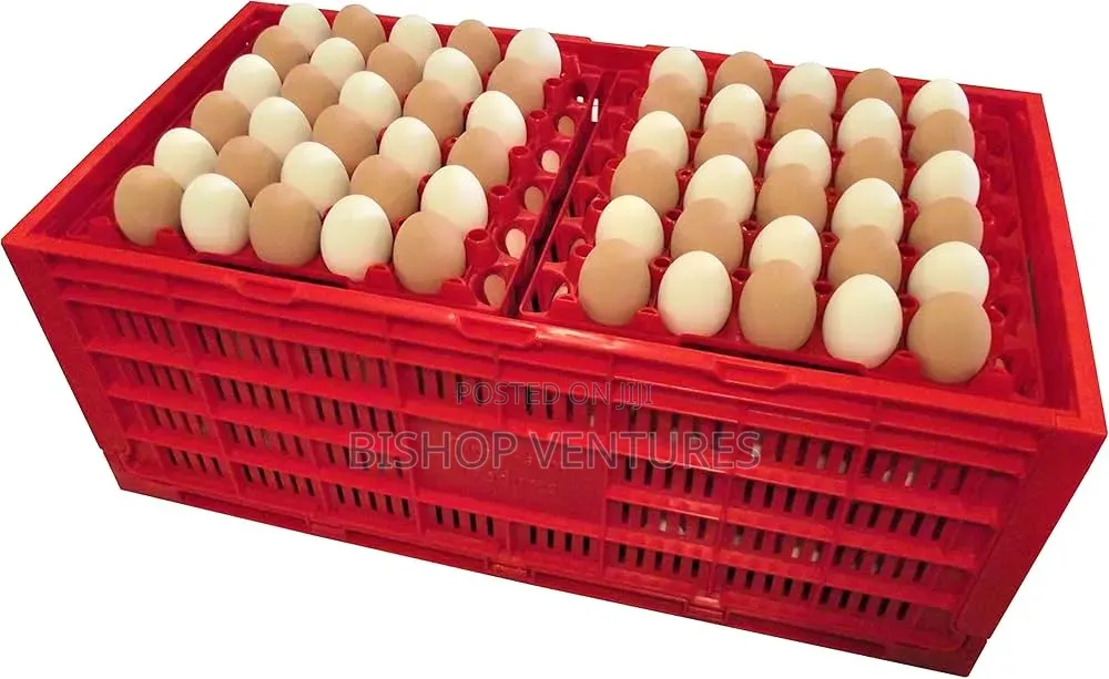 Eggs Transport Crates