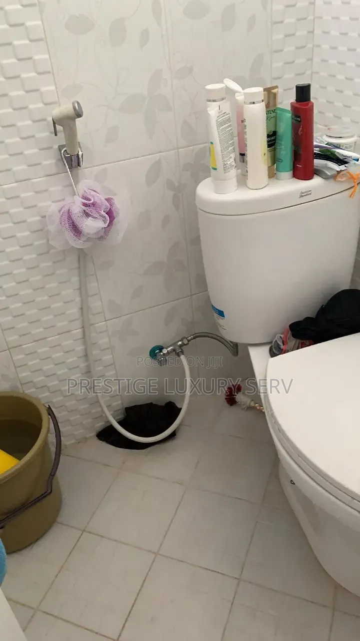 Mini Flat in Ola Balm for rent