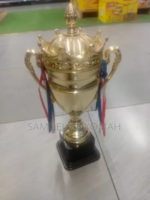 Trophies /Award Cups