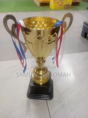Trophies /Award Cups