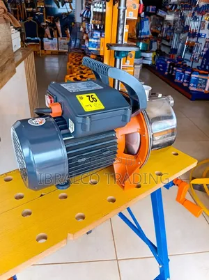 Leo 1.5 Water Pump