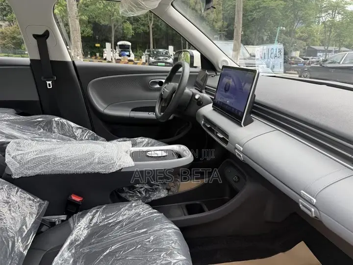 New Dongfeng Nammi 01 2025 White