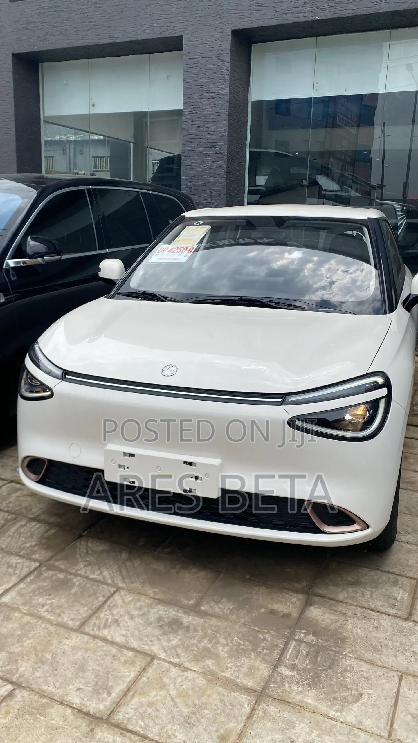 New Dongfeng Nammi 01 2025 White