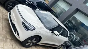 New Dongfeng Nammi 01 2025 White