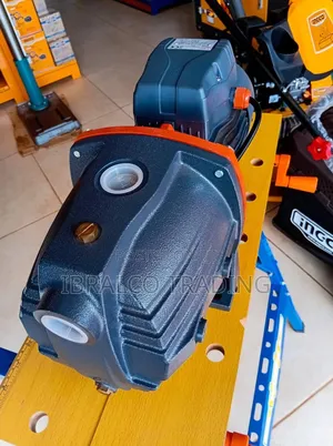 Leo 1.5hp Cast Water Pump
