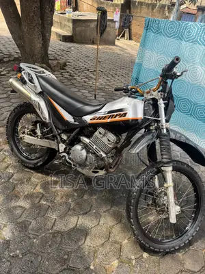 Kawasaki 2020 Silver