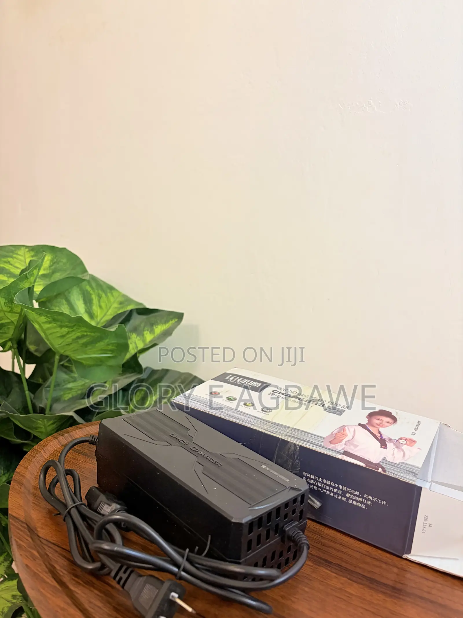Electric Motorcycle Charger
