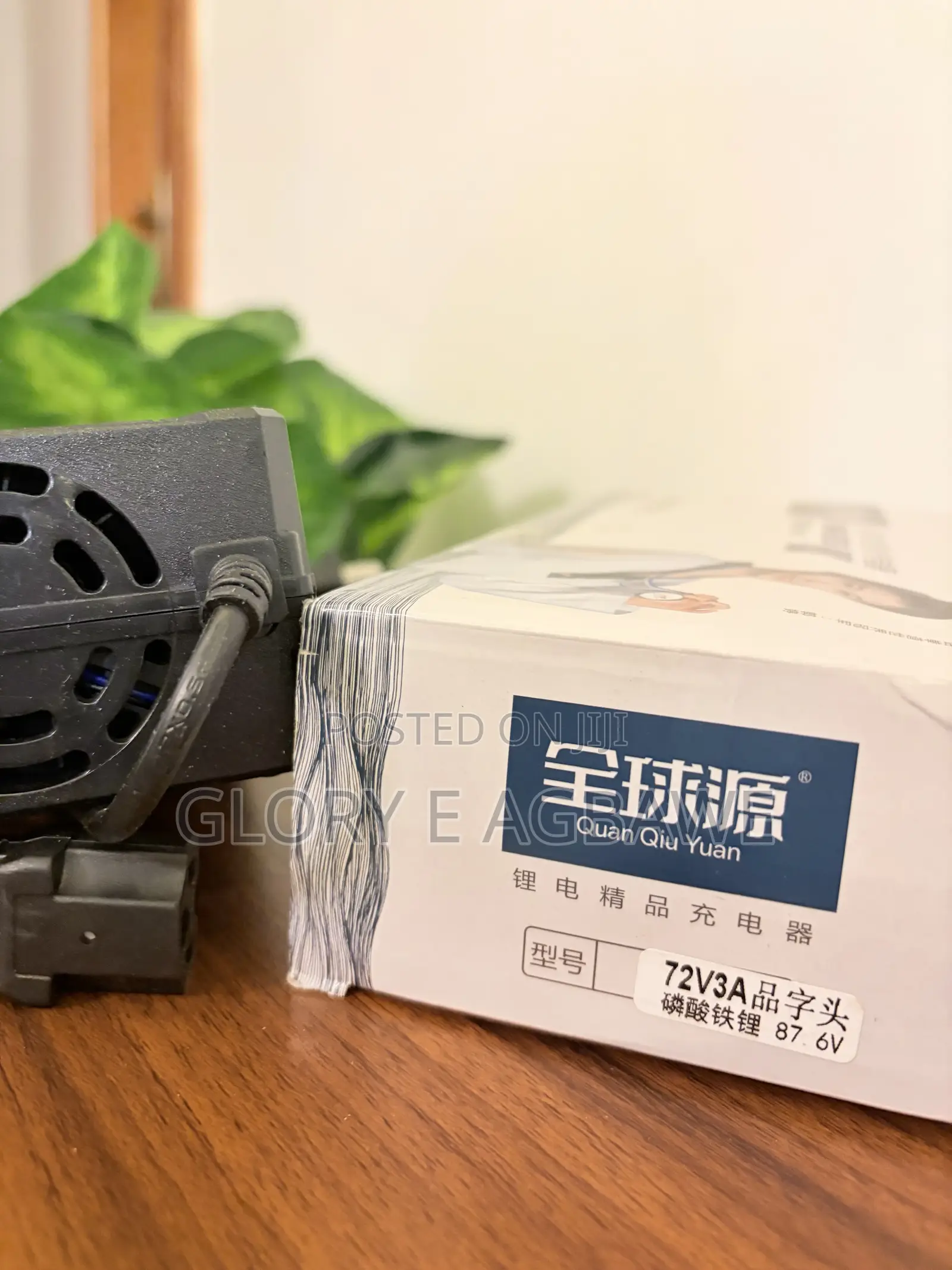 Electric Motorcycle Charger